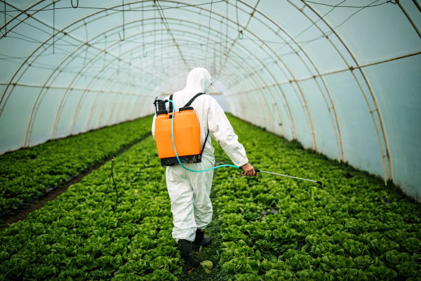 Best Pest Removal Services  in Lawtey, FL