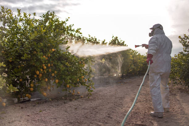 Best Affordable Pest Control Services  in Lawtey, FL