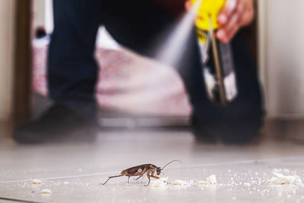 Reliable Lawtey, FL Pest Control Solutions